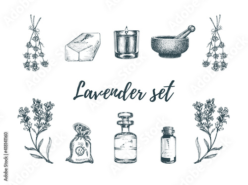 Lavender sketches set. Drawn images in vector.