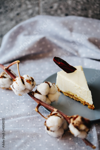Piece of delicious and fresh cheesecake with a branch of cotton standing on a beautiful curtain
