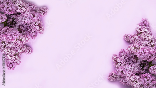 Lilac flowers on color background. Frame for text. Banner. Spring time