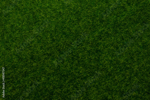 Green lawn background. Green grass.