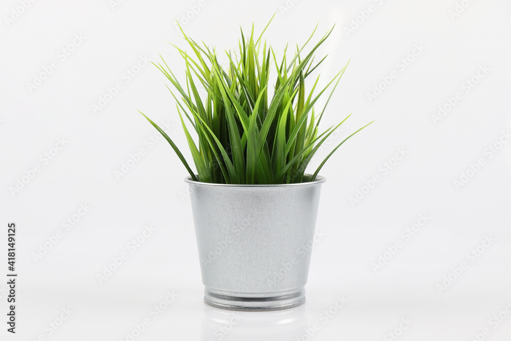 Artificial green grass in galvanize steel pot on white Artificial green grass in galvanize steel pot on white