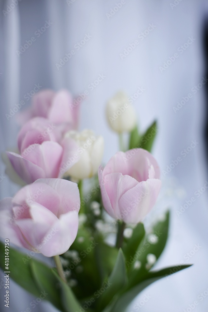 Obraz premium bouquet of roses