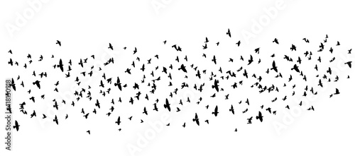 A large flock of flying birds. Vector illustration
