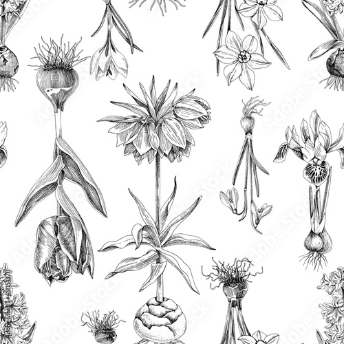 Seamless pattern of hand drawn bulbous flowers