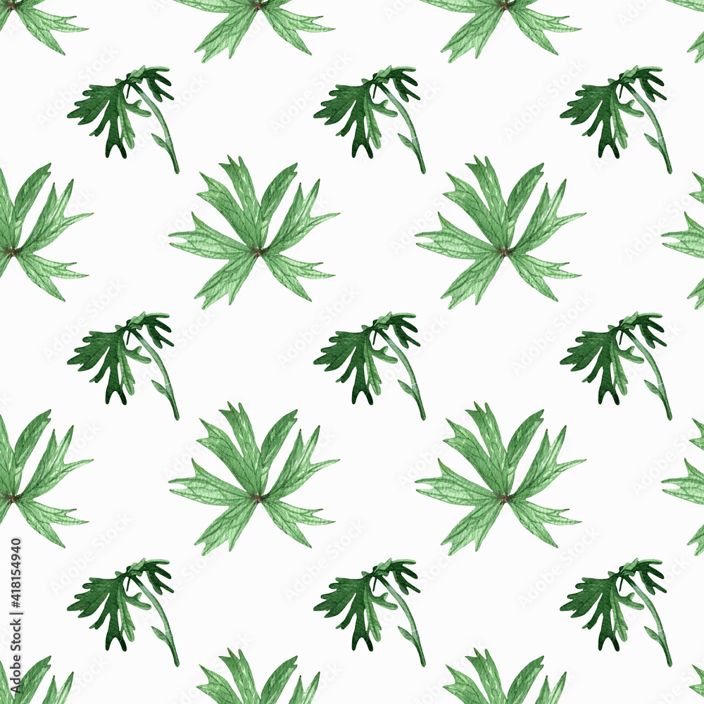 Seamless watercolor leaves pattern.Pulsatina patens leaves.For wrappers,wallpapers,postcards,greating cards,wedding invintation.
