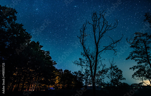 Amazing view of sky with stars over forest © Ievgen Skrypko