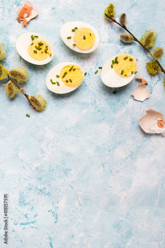 Easter background with hard boiled egg and catkin twigs, copy space