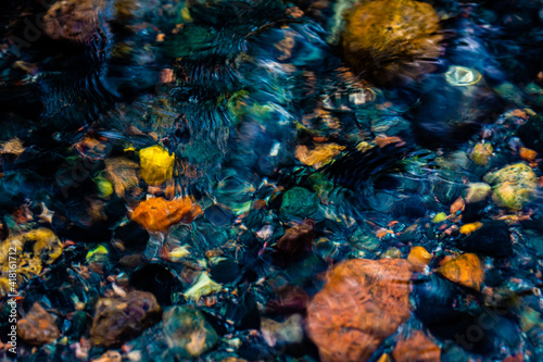 coral reef in aquarium