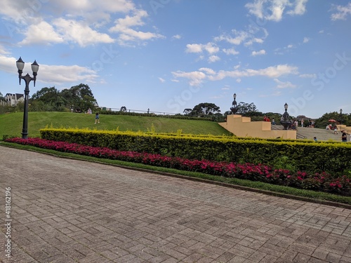 tulip field