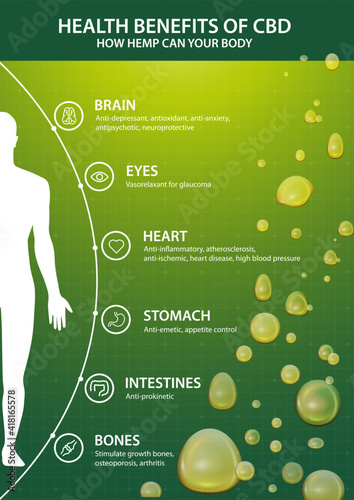Green vertical poster with infographic of CBD benefits for your body and silhouette of human body. Health benefits of Cannabidiol CBD from cannabis, hemp, marijuana, effect on body