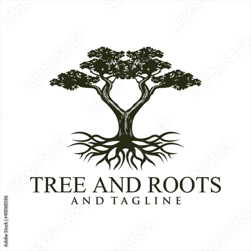 Root Of The Tree logo illustration. Vector silhouette of a tree Oak Land Vector Logo. Vector silhouette of a tree. The tree is symbol of strength  longevity  fertility  hope and continuity. This logo 