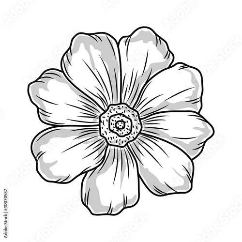 flower floral sketch