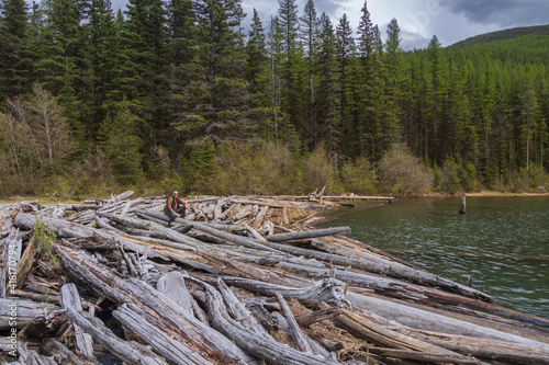 Log pile on the edge of Stanton Lake, Montana