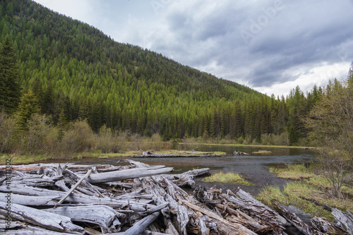 Log pile on the edge of Stanton Lake, Montana