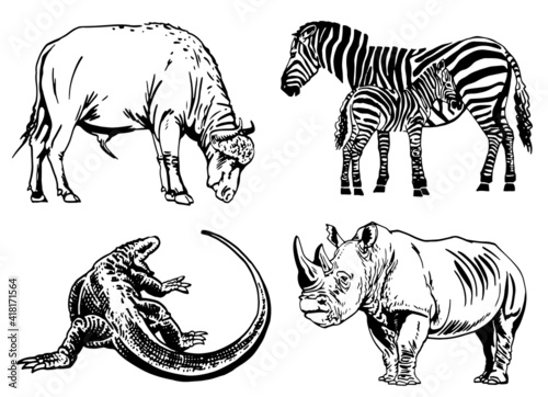 Vector set of animals isolated on white background, African collection elements. Vector illustration photo