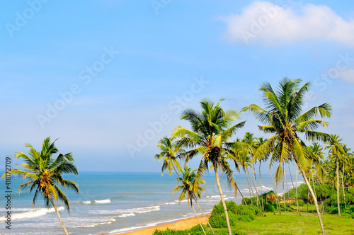 view of the ocean surface and tropical palms on the shore.