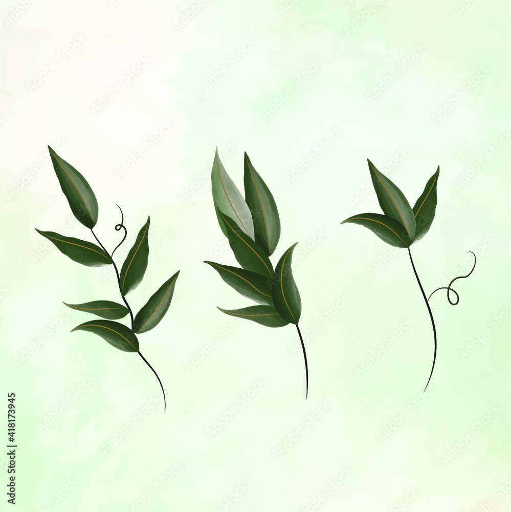 Botanica y plantas en acuarela