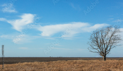 A dead tree alone in a open field