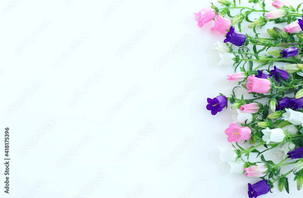 spring bouquet of purple, white and pink bell flowers over white wooden background. top view, flat lay
