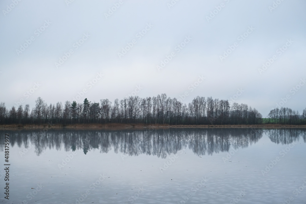 Picturesque winter landscape of frozen trees and reflection in the lake. Selective focus