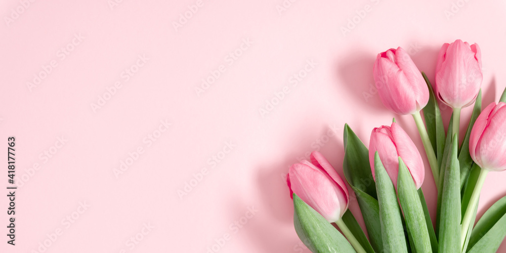 Fototapeta premium Beautiful pink tulips on pastel pink background. Concept Women's Day, March 8. 8th march. Spring background. Flat lay, top view, copy space