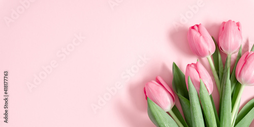 Beautiful pink tulips on pastel pink background. Concept Women's Day, March 8. 8th march. Spring background. Flat lay, top view, copy space