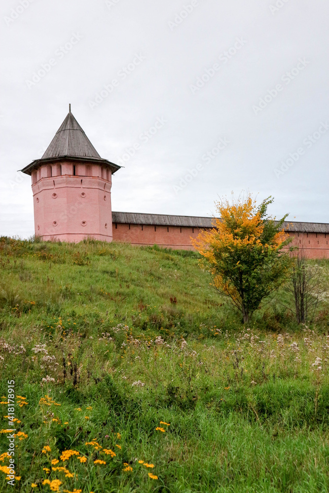 Summer view from the valley of Kamenka river to Saviour Monastery of St. Euthymius in Suzdal, Russia