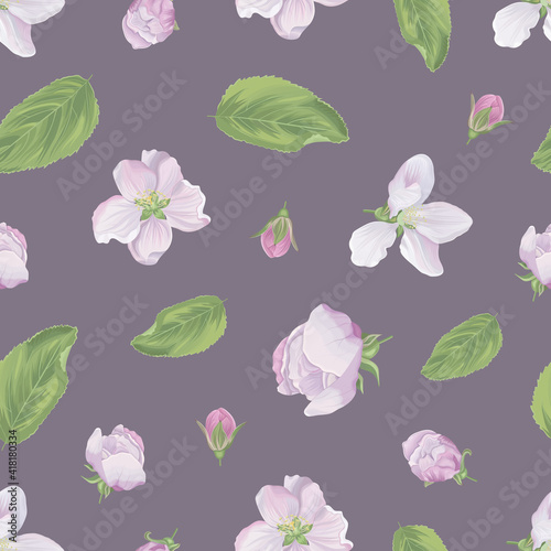 Vector seamless pattern with apple blooming spring flowers on a dark violet background