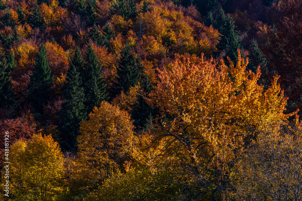 autumn in the mountains