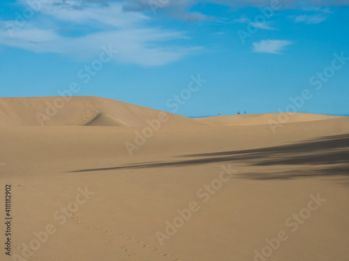 View of the Natural Reserve of Dunes of Maspalomas  golden sand dunes  blue sky. Gran Canaria  Canary Islands  Spain