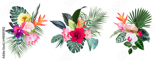 Exotic tropical flowers, orchid, strelitzia, hibiscus, protea, anthurium, palm photo