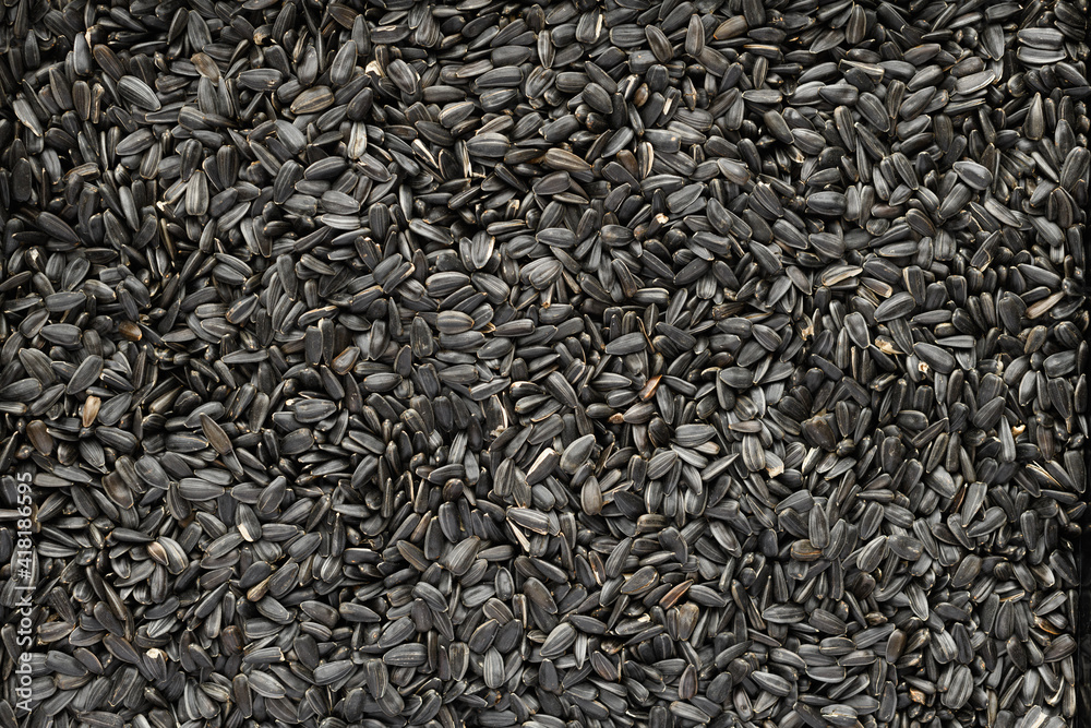 sunflower seeds background, closeup of roasted seeds sunflower seeds background, closeup of roasted seeds