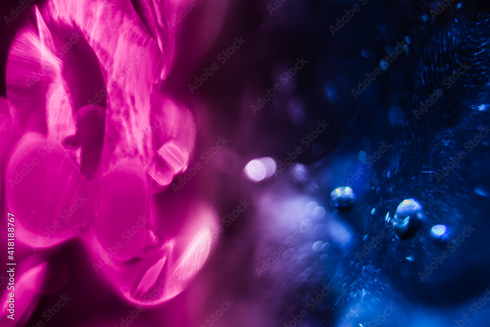 Water drops on blue and magenta glass Macro Water drops on blue and magenta glass Macro