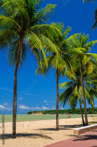 Cabo Branco beach with white sands and coconut grove in Jo  o Pessoa  Para  ba State  Brazil on March 10  2009. The extreme eastern geographic point of the Americas.