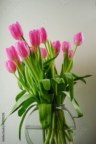 Fototapeta Naklejka Na Ścianę i Meble -  Bouquet of pink tulips in a glass vase filled with water