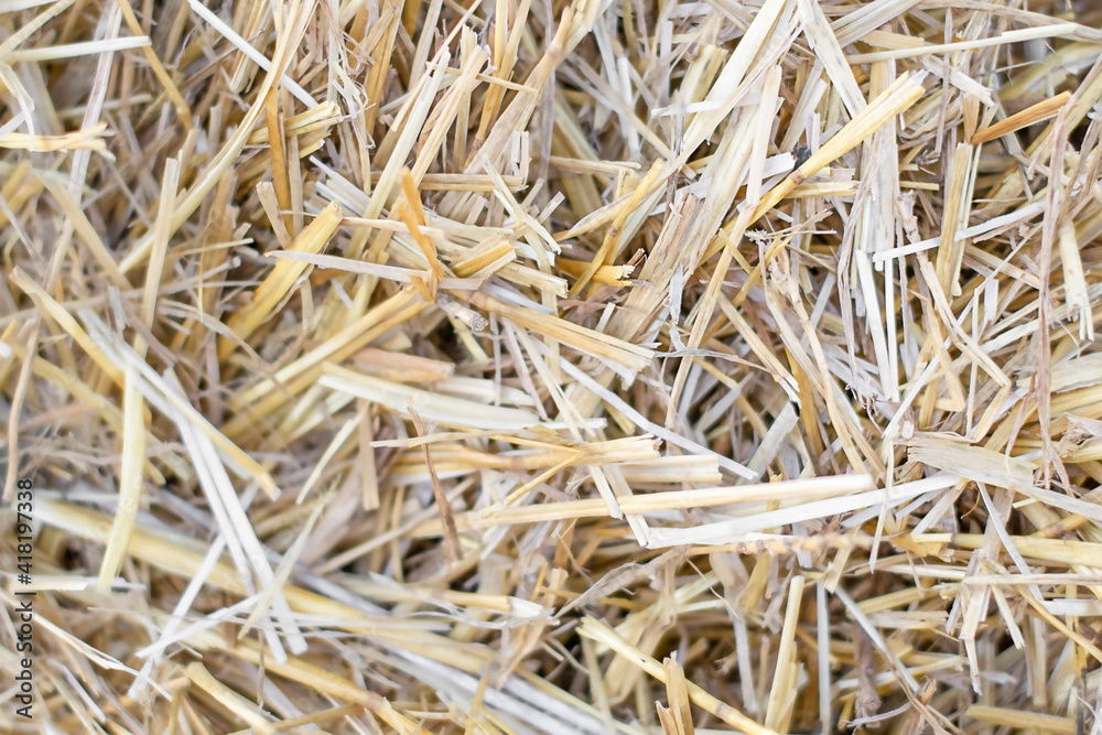 straw texture natural background favorite focus straw texture natural background favorite focus
