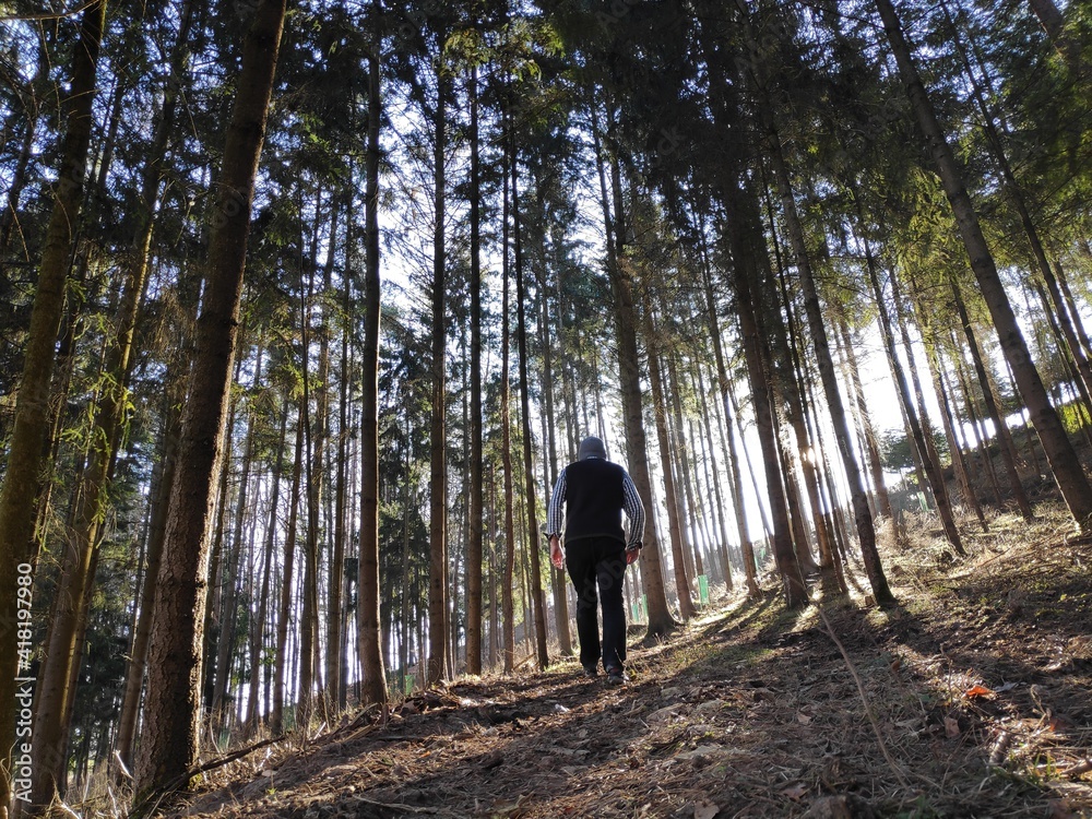 A man goes for an early morning walk in the woods in Bavaria