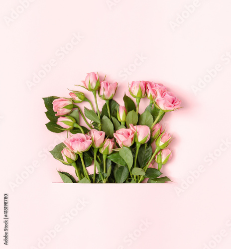 Spring concept with bouquet of pink roses coming out from pastel background. Top view composition.