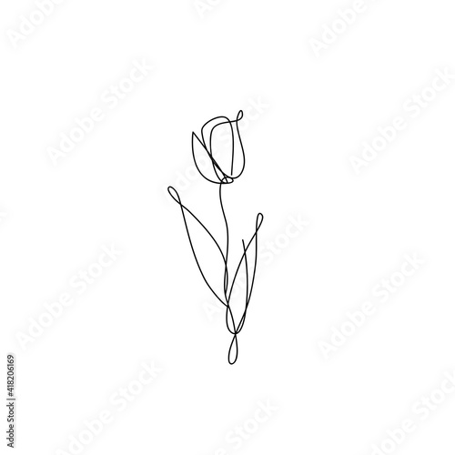 Line tulip illustration. Flower outline