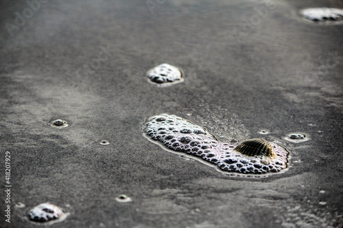 water bubbles on the beach