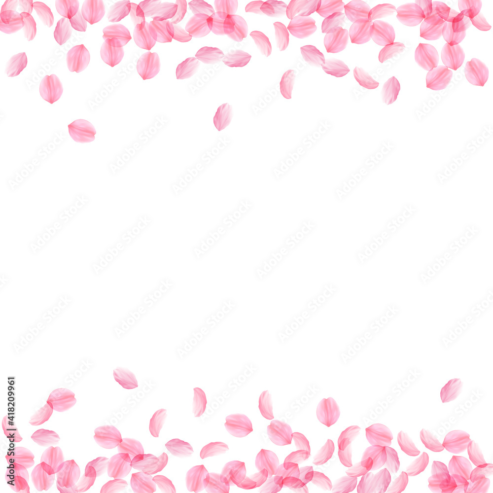 Sakura petals falling down. Romantic pink silky medium flowers. Thick flying cherry petals. Borders