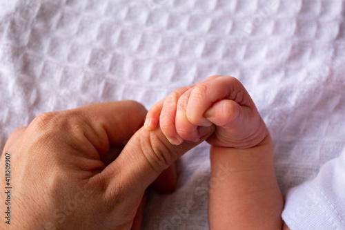 beautiful hands of a newborn baby on a white sheet
