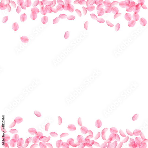 Sakura petals falling down. Romantic pink silky medium flowers. Thick flying cherry petals. Borders © Begin Again