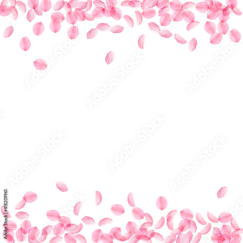 Sakura petals falling down. Romantic pink silky medium flowers. Thick flying cherry petals. Borders