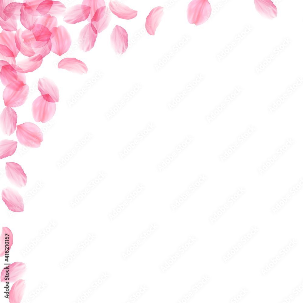 Sakura petals falling down. Romantic pink silky big flowers. Thick flying cherry petals. Square left