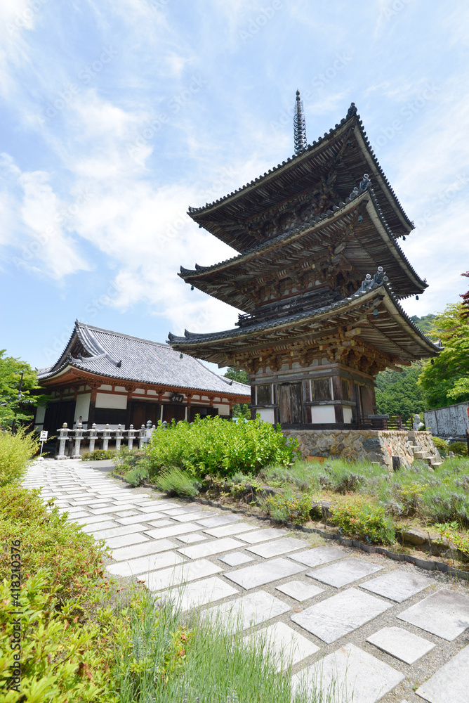 壺阪寺 礼堂と三重塔 奈良県高取町 壺阪寺 礼堂と三重塔 奈良県高取町