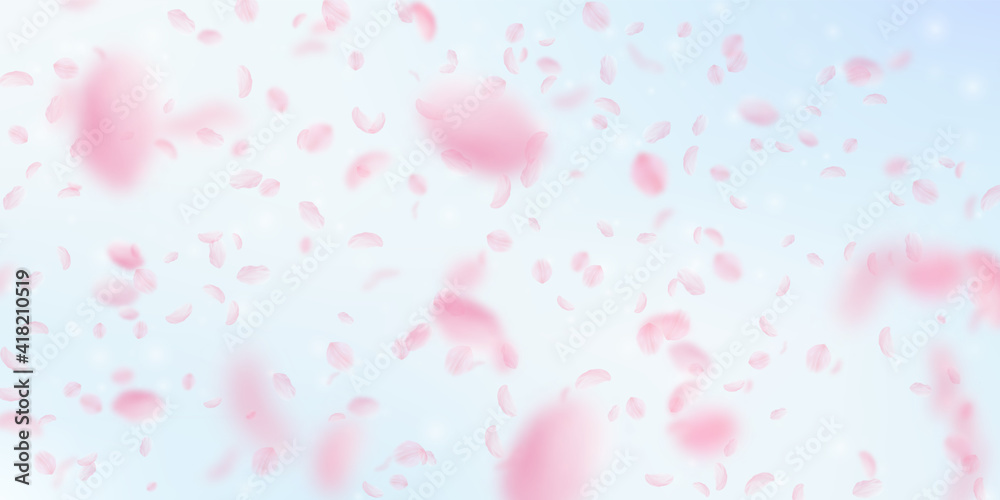 Sakura petals falling down. Romantic pink flowers falling rain. Flying petals on blue sky wide backg Sakura petals falling down. Romantic pink flowers falling rain. Flying petals on blue sky wide backg