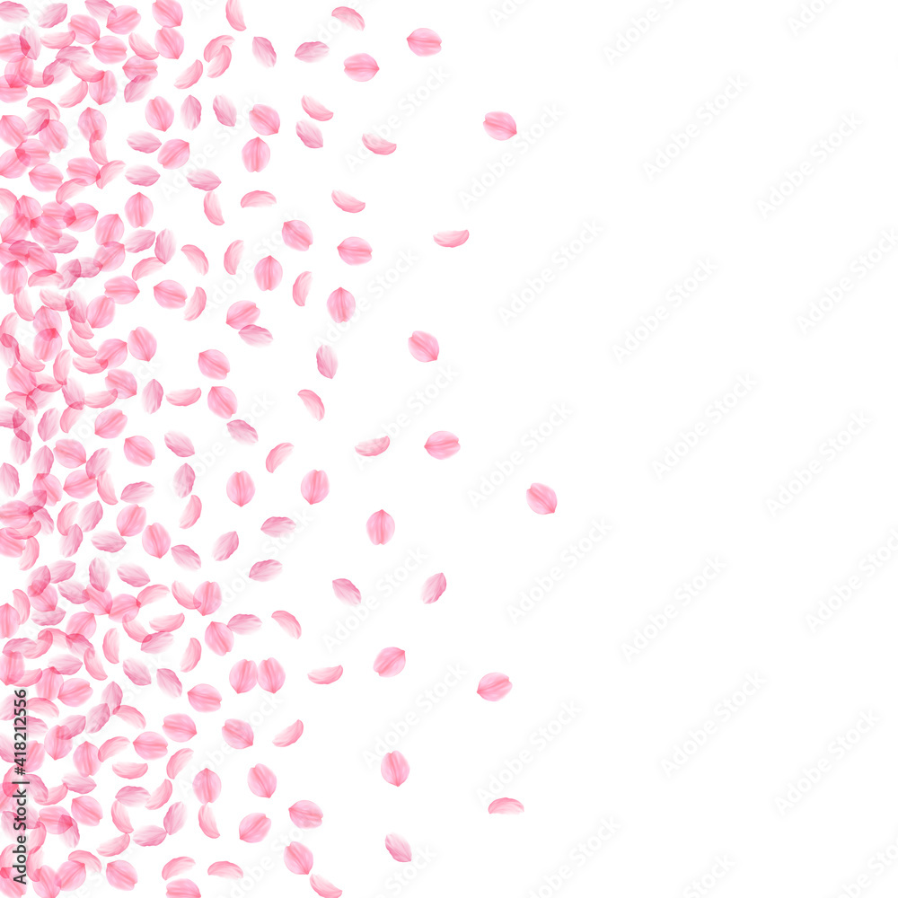 Sakura petals falling down. Romantic pink silky small flowers. Thick flying cherry petals. Scatter l Sakura petals falling down. Romantic pink silky small flowers. Thick flying cherry petals. Scatter l