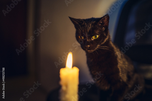Leinwand Poster Closeup of a cute domestic black cat near a burning candle in a dark room