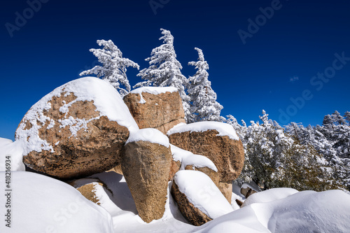 Snow covered pines and boulders in the San Bernardino Mountains. San Bernardino National Forest, California, USA.